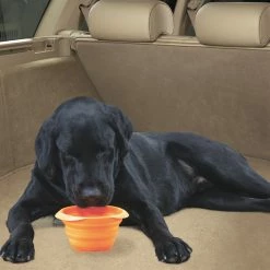 Cluballiance Sales Store -Cluballiance Sales Store HR DG 102ORG 2