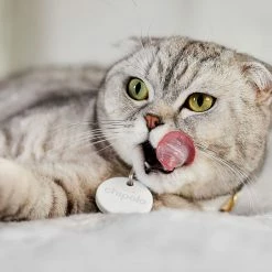 Promo ✨ Chipolo ONE - Bluetooth Key and Item Finder - White 🔥 -Cluballiance Sales Store chipolocat